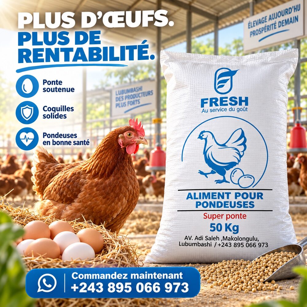 Poule pondeuse, œufs et sac FRESH Super Ponte